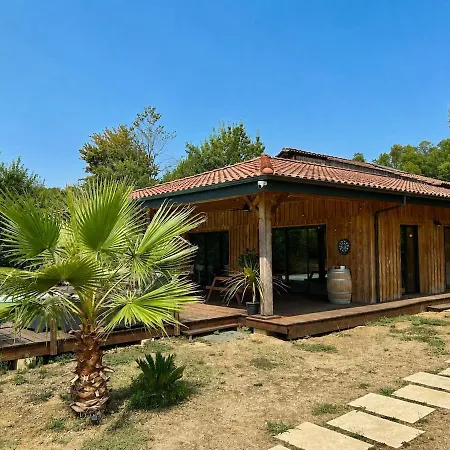 Villa Piscine 8 Pers Jardin 4500m2 Bordeaux *